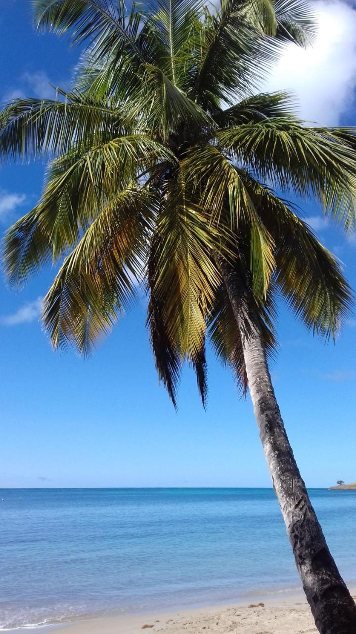 Palm View Apartment Laborie Exterior foto